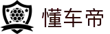 懂车帝（中国）官方网站 - 汽车报价大全